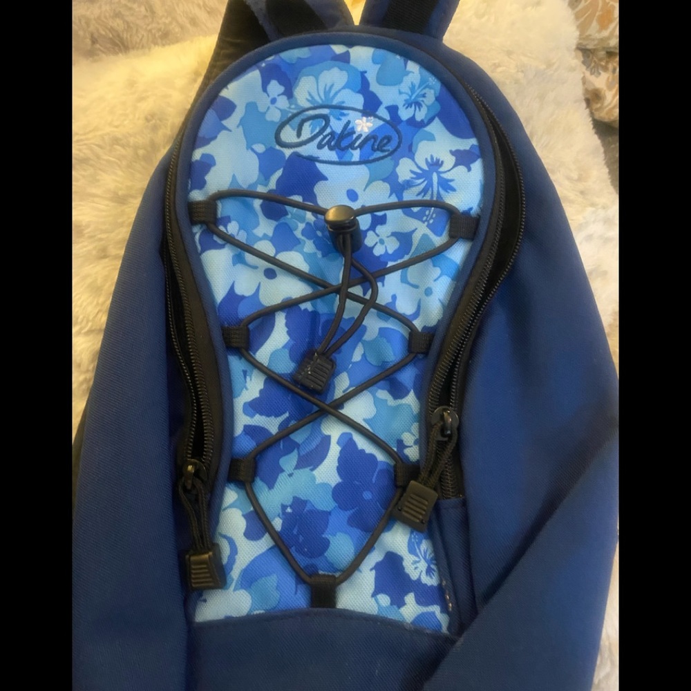 Small Dakine back pack